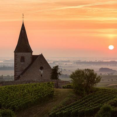 Soleil levant sur la plaine d'Alsace