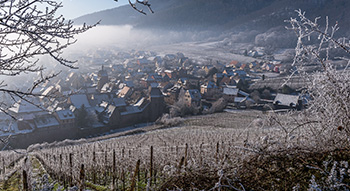 Visite guidée de Riquewihr